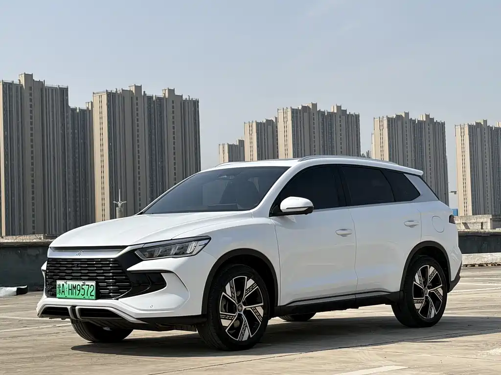 Byd Pro New Energy 2024