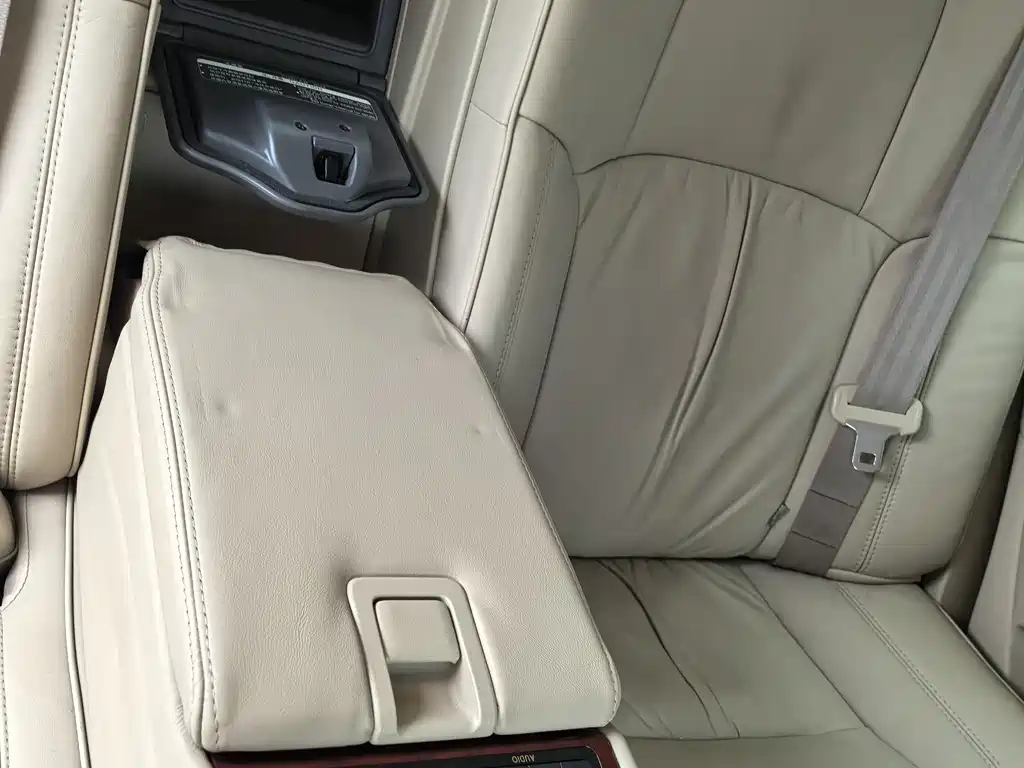 Hongqi Hongqi Shengshi — миниатюра 12