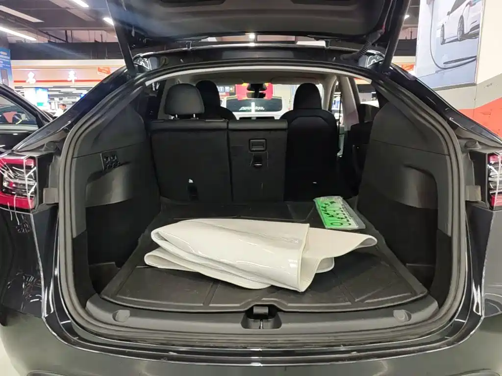 Tesla Model Y — миниатюра 19