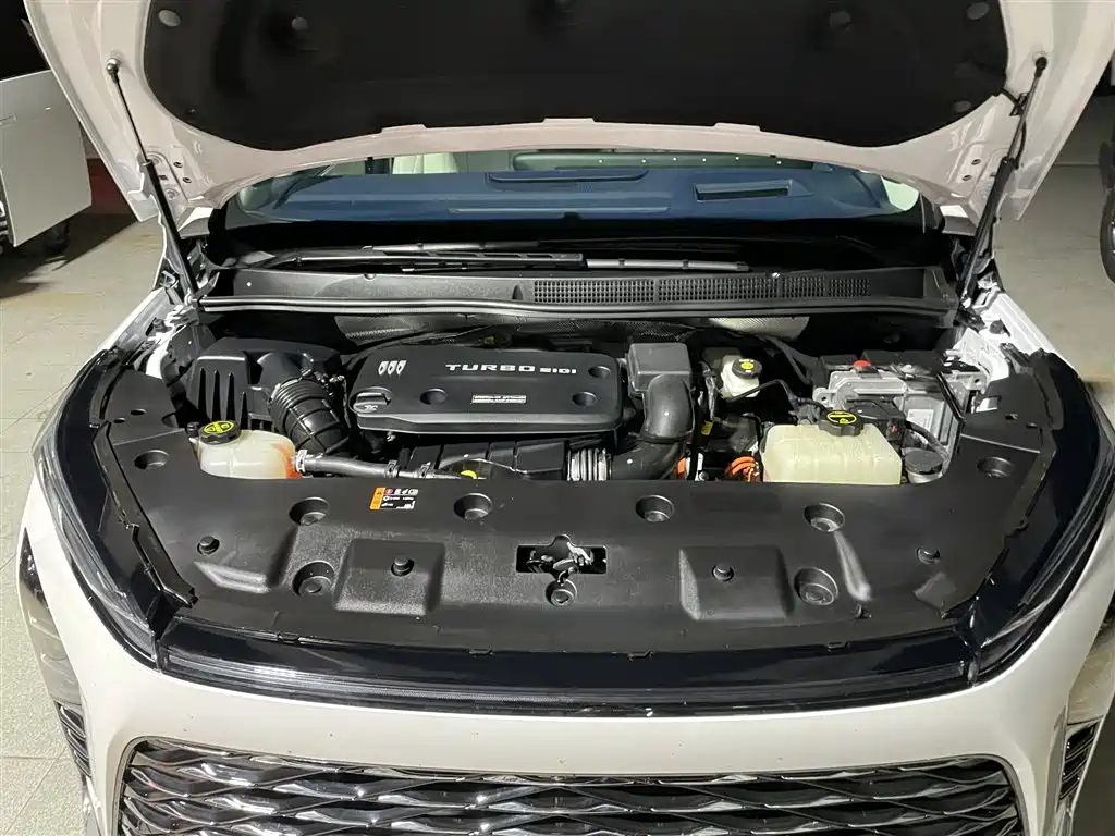 BUICK GL8 NEW ENERGY