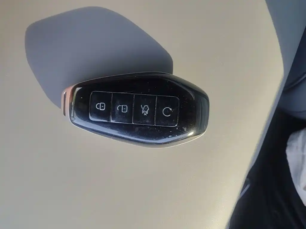 Denza Denza N9 — миниатюра 9
