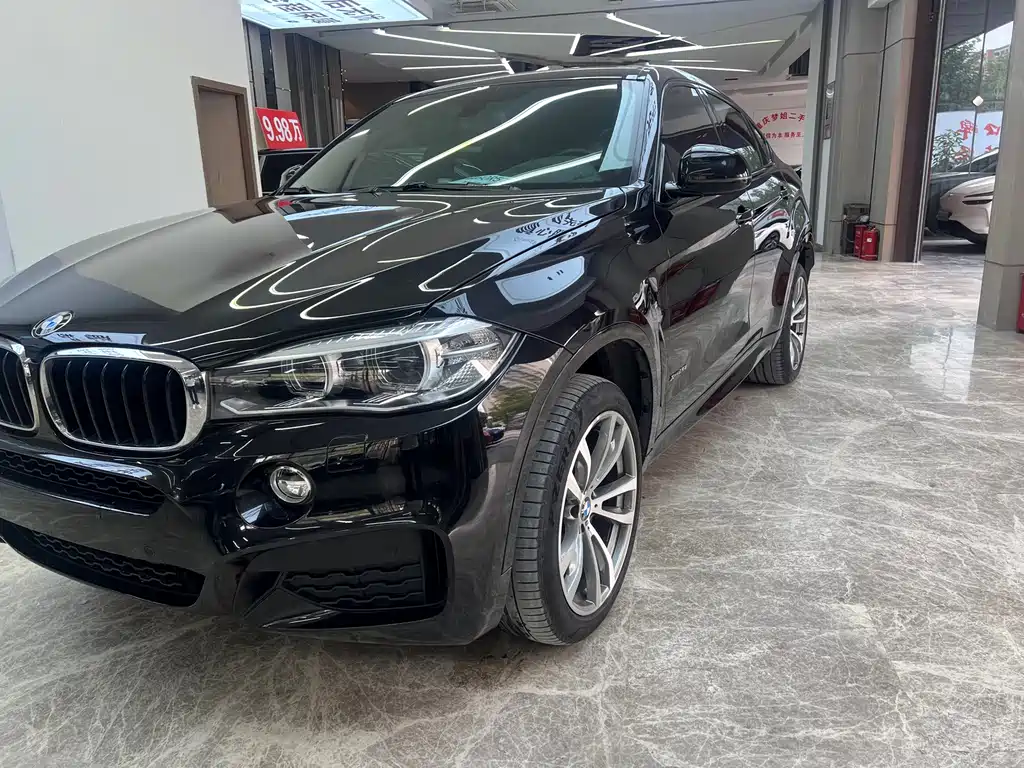 BMW X6 — миниатюра 2