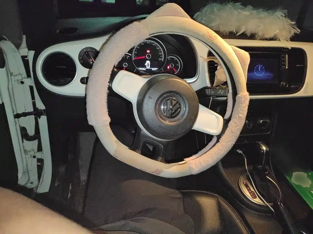 Volkswagen Beetle — миниатюра 13