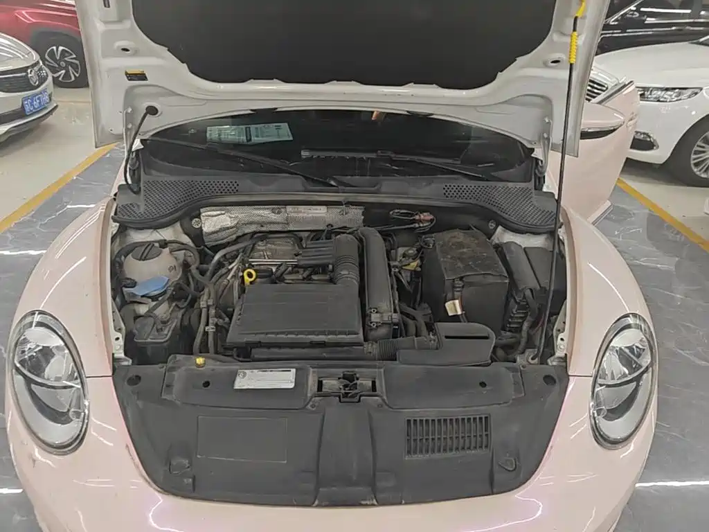 Volkswagen Beetle — миниатюра 23