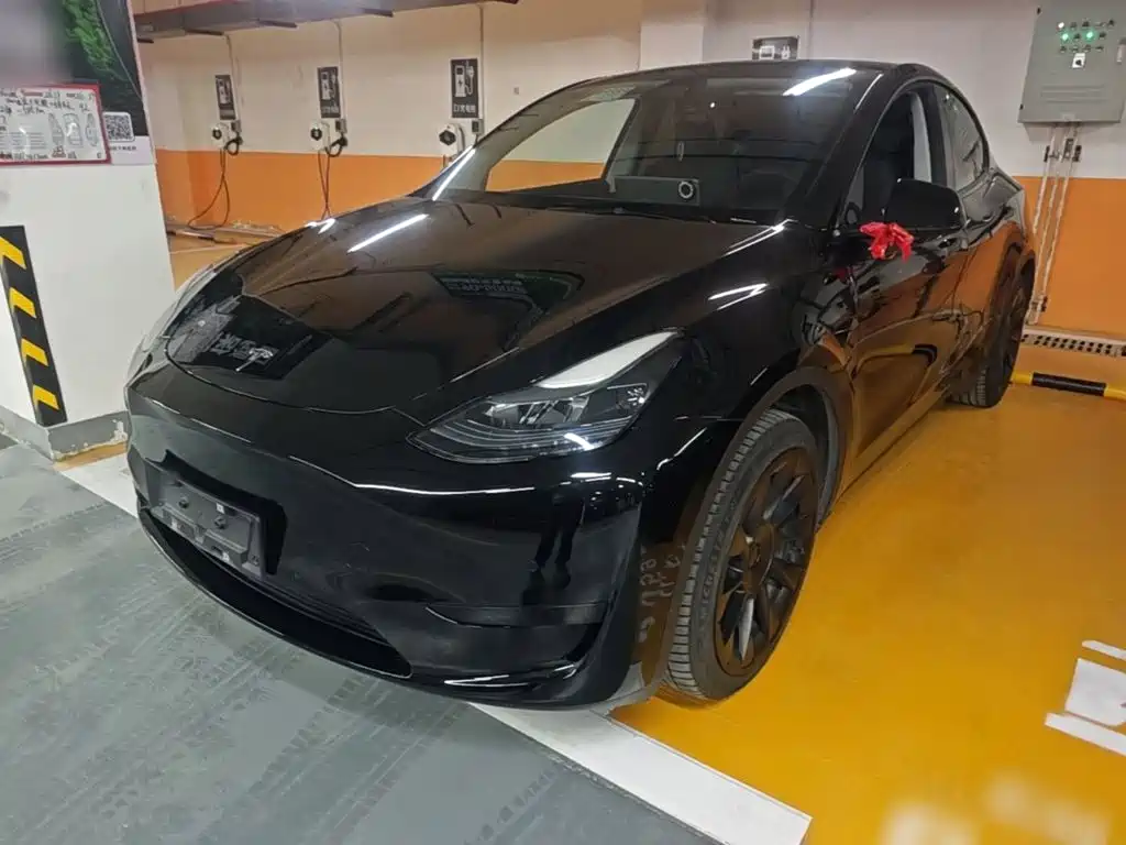 Tesla Model Y — миниатюра 2