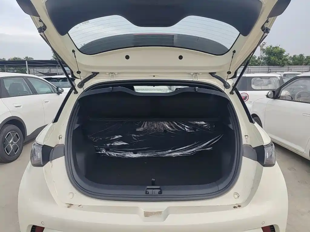 BYD Dolphin — миниатюра 19