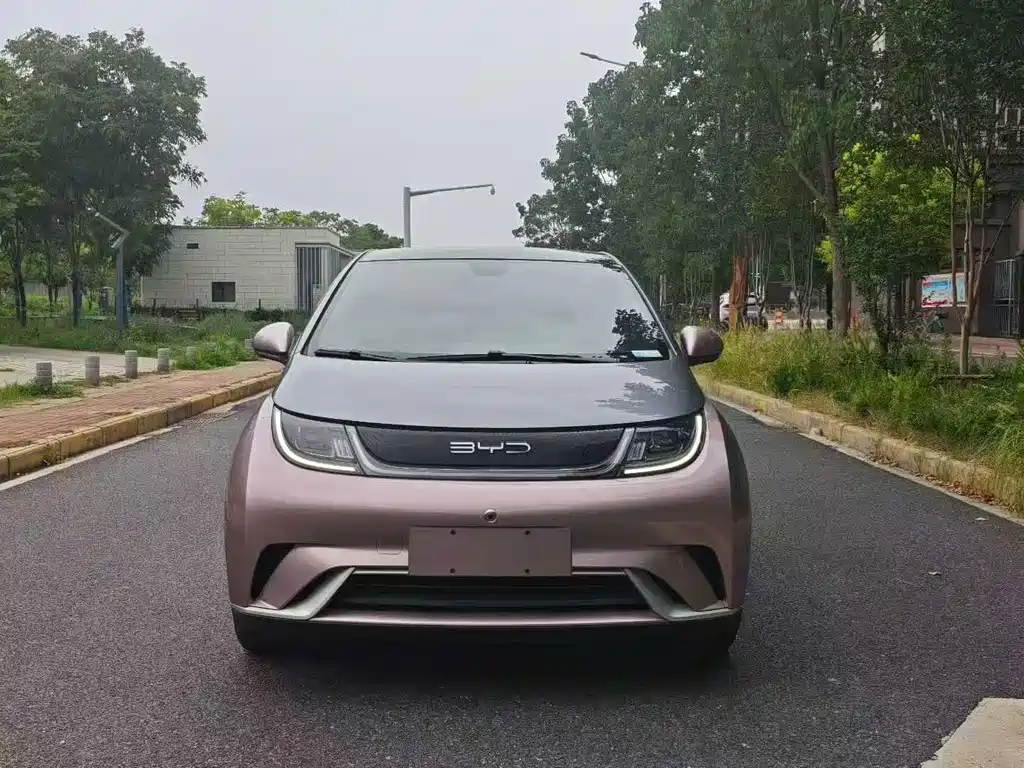BYD Dolphin 2021 405km Fashion