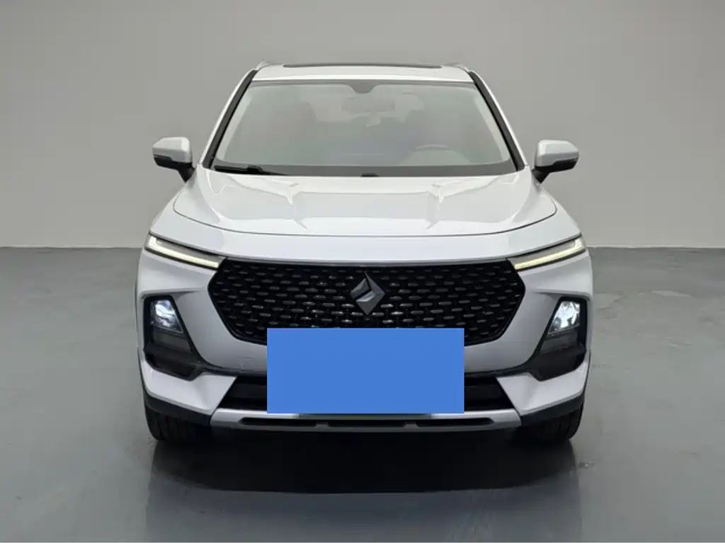 BAOJUN RS 5