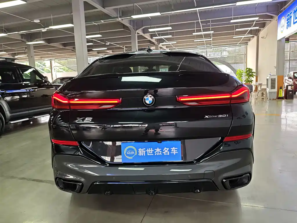 BMW X6 — миниатюра 13