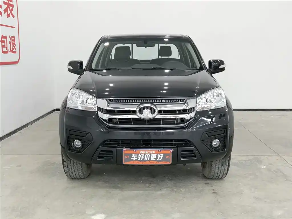 GREAT WALL FENGJUN 5