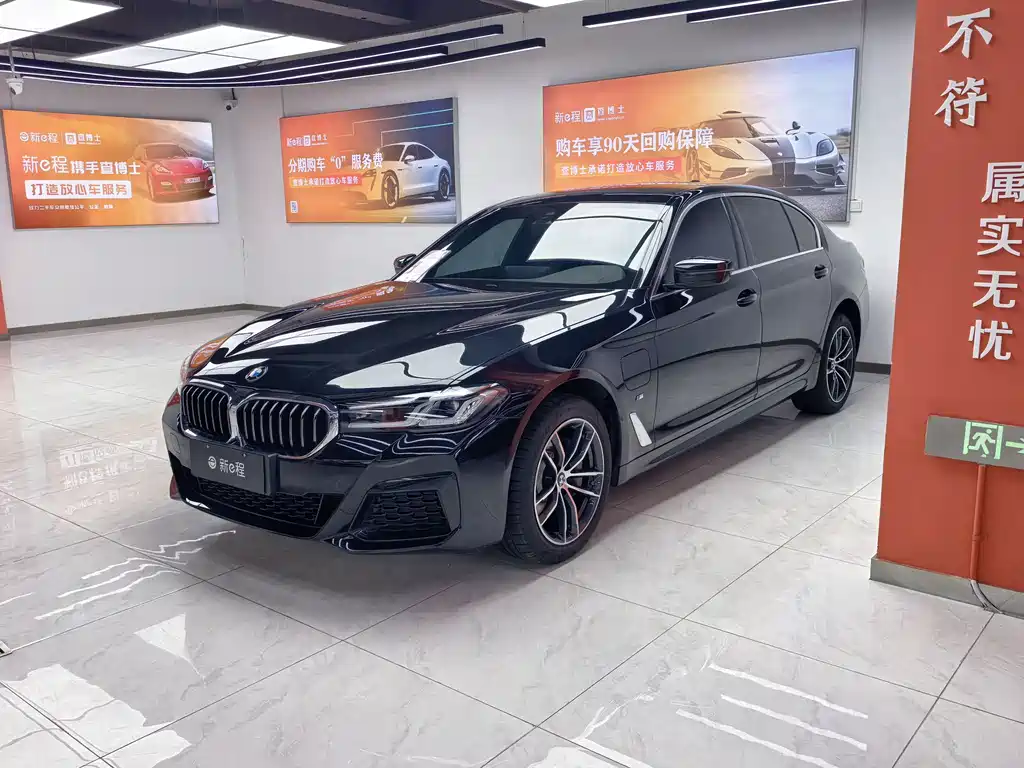 BMW 5 Series New Energy 2021