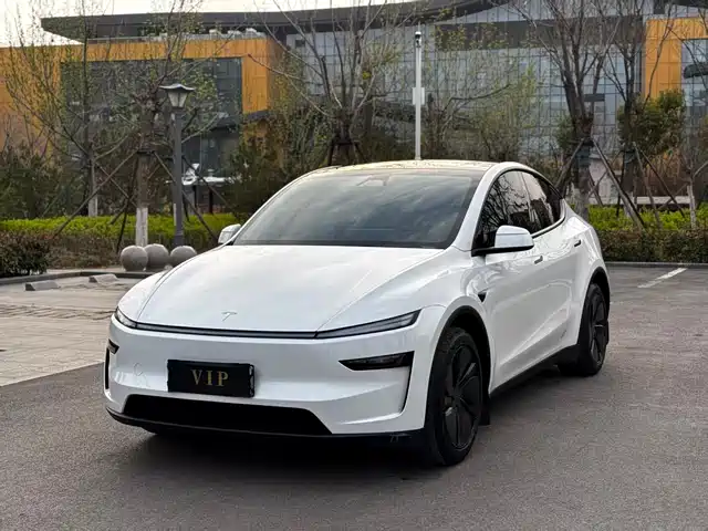 TESLA MODEL Y 2025