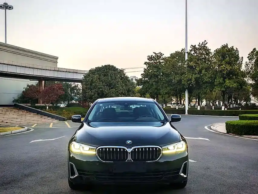 BMW 5 Series 5 2021 530Li Premium Luxury