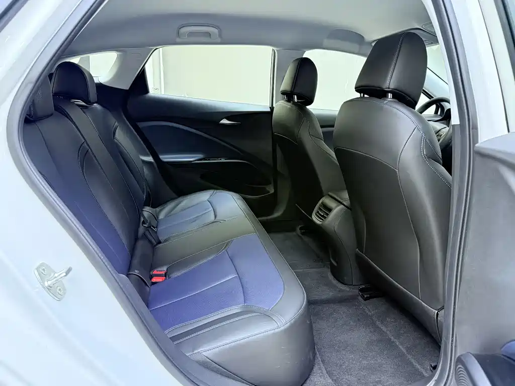 BUICK SLIGHTLY BLUE 6