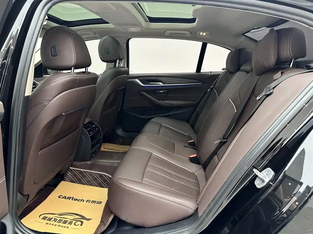 BMW 5 Series 5 2021 530Li Lead Luxury