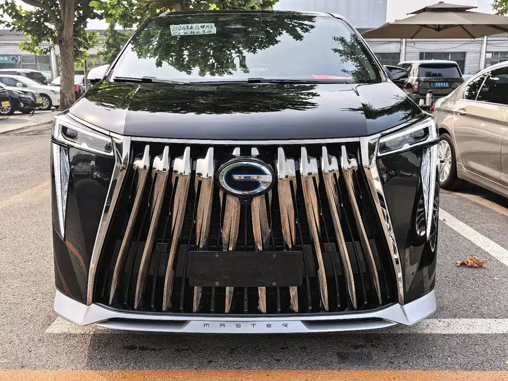 GAC Motor Trumpchi M8 — миниатюра 2