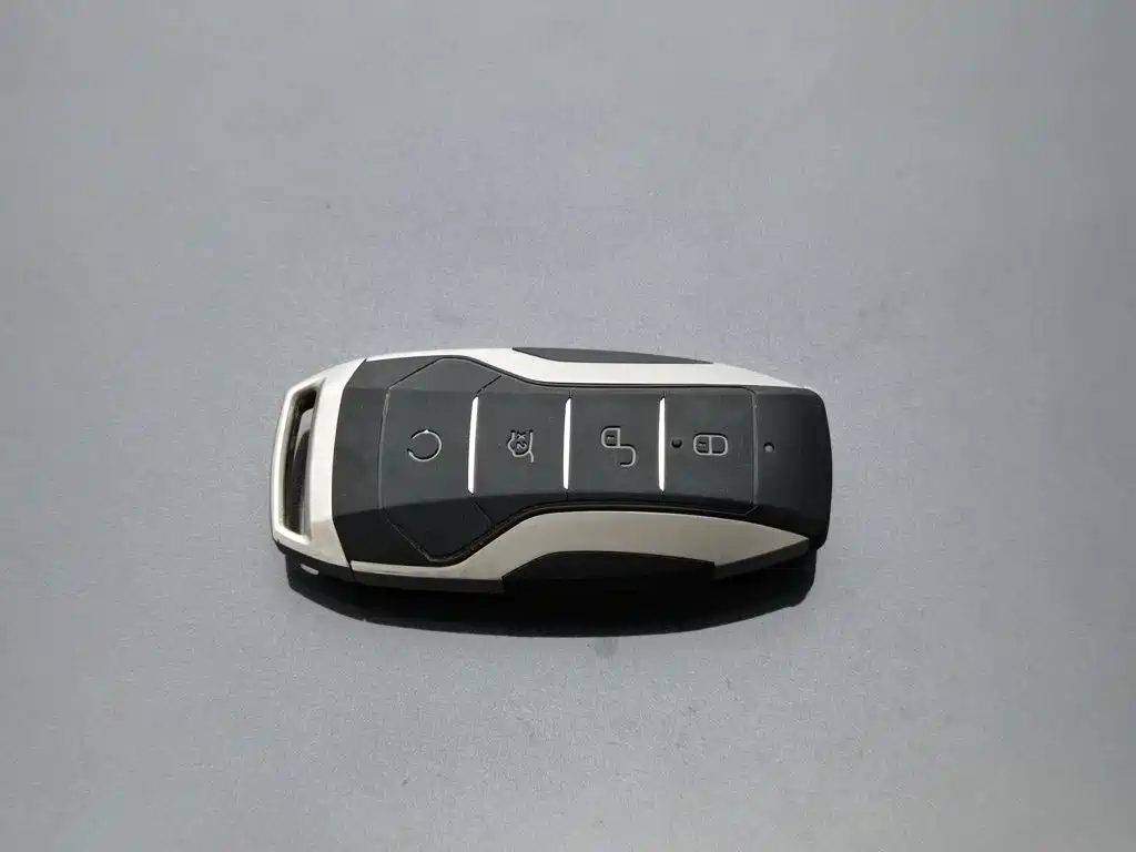 BYD Pro — миниатюра 19