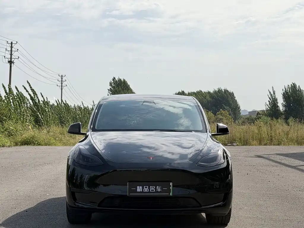Tesla Model Y — миниатюра 4