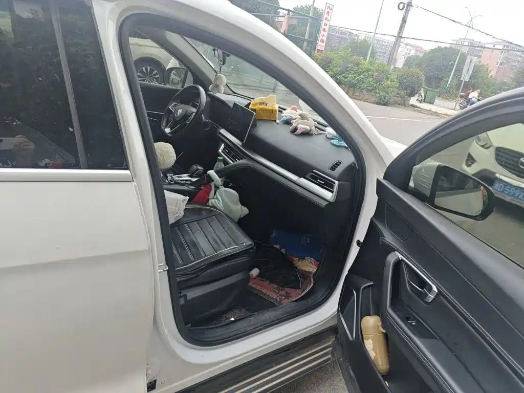 BYD Pro — миниатюра 18