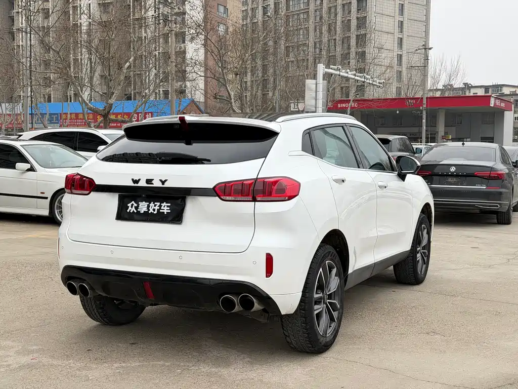 WEI PAI WEI BRAND VV5