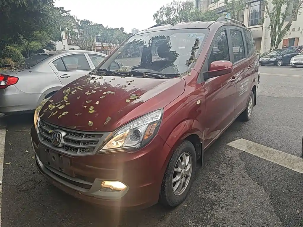 Купить BAW Weiwang M20