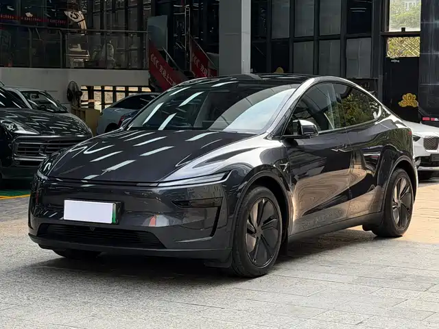 TESLA MODEL Y 2025