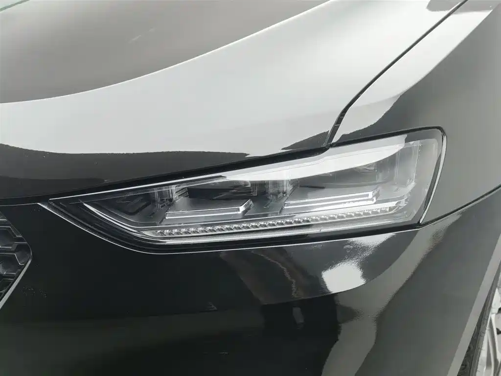 WEI PAI WEI BRAND VV7