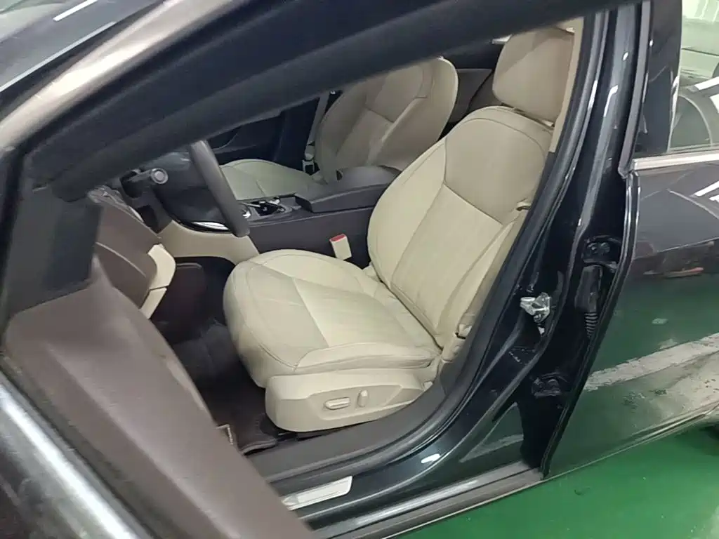 Buick Regal — миниатюра 15