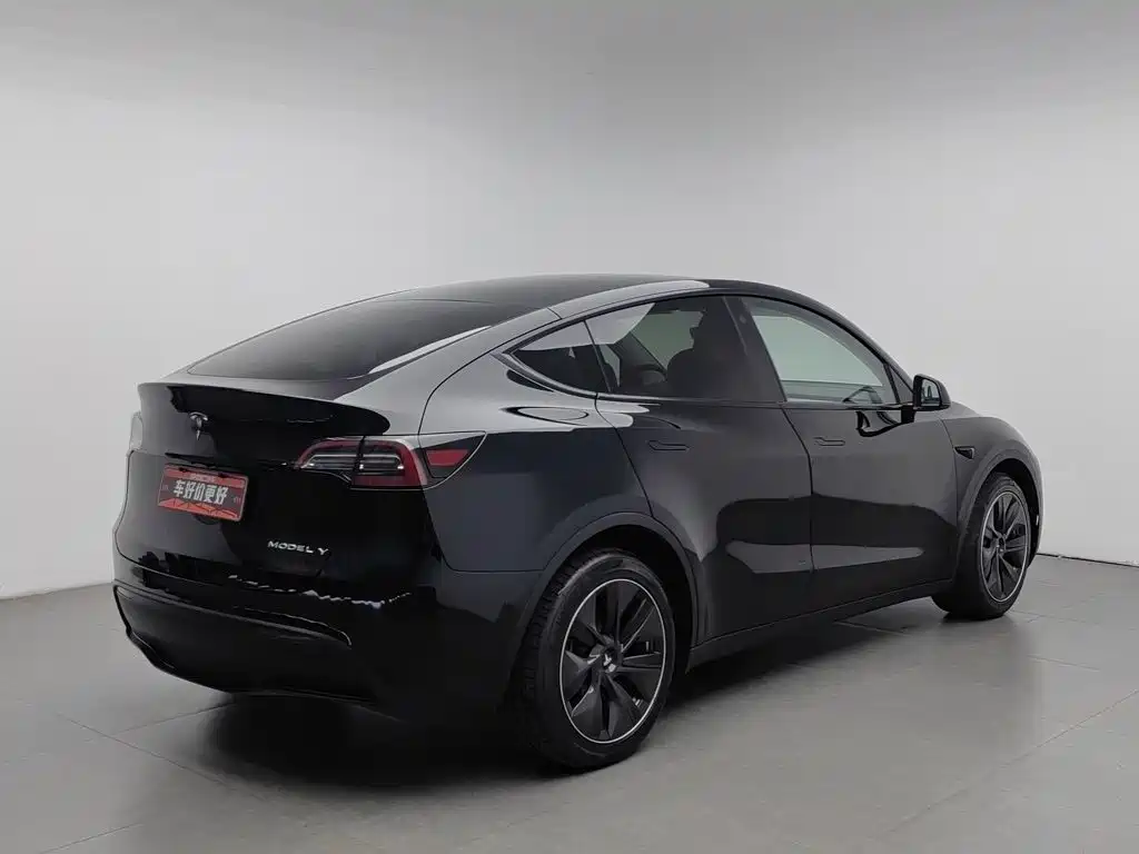 Tesla Model Y — миниатюра 2