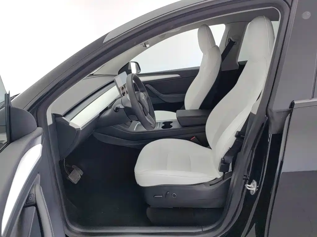 Tesla Model Y — миниатюра 10