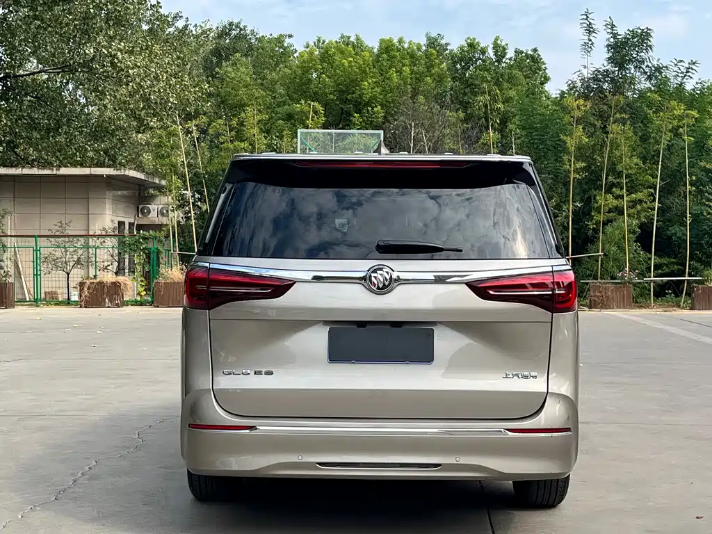 Buick GL8 — миниатюра 6