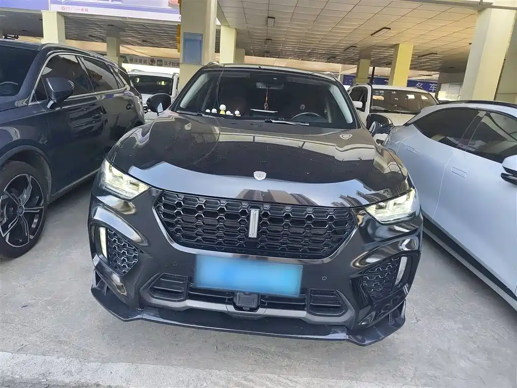 WEI PAI WEI BRAND VV5