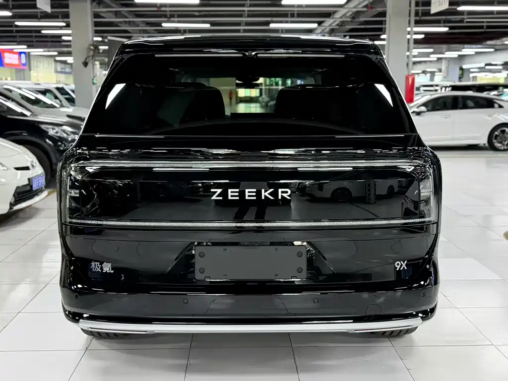 Zeekr 9X - фото 8