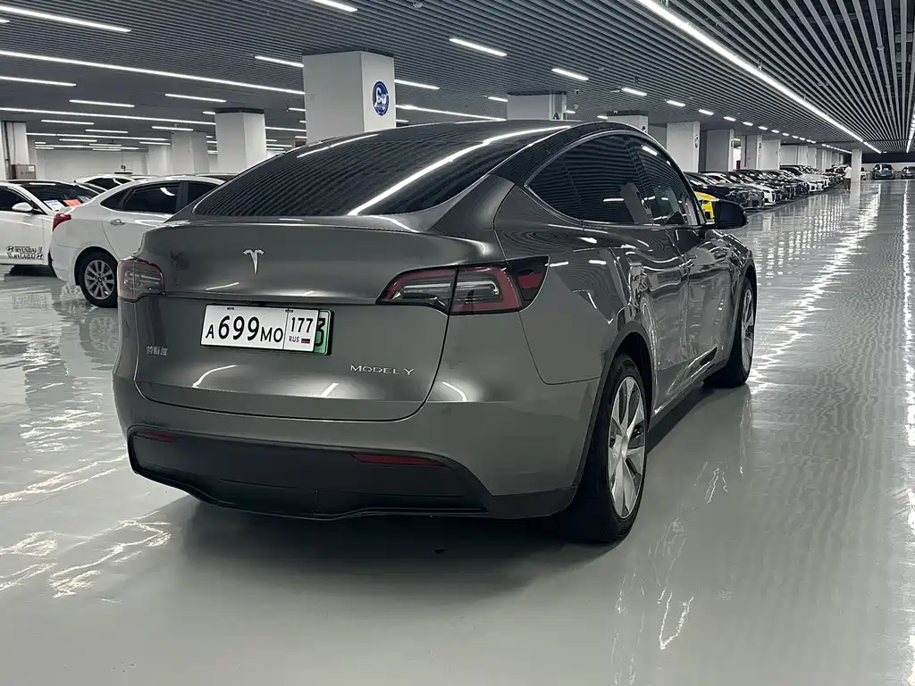 Tesla Model Y — миниатюра 13