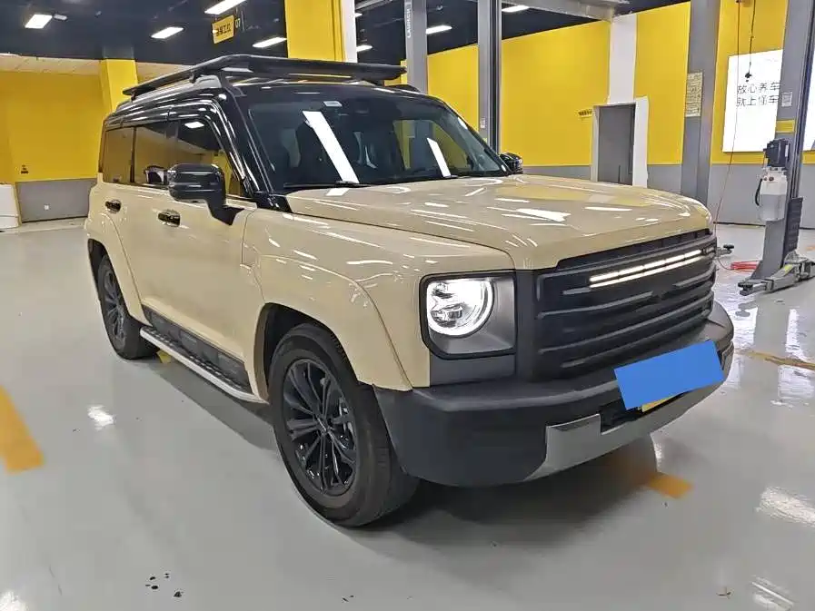 Haval Menglong New Energy — миниатюра 2