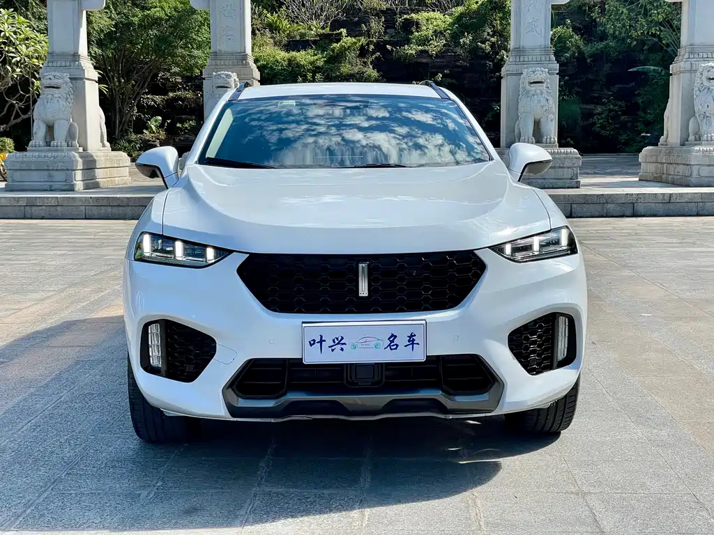 WEI PAI WEI BRAND VV7