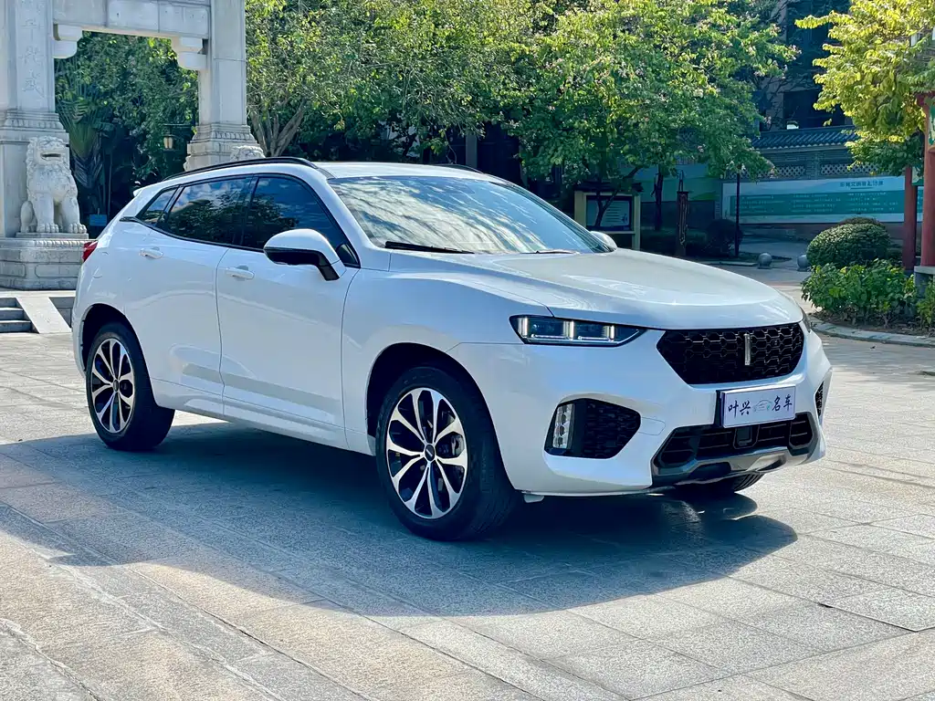 WEI PAI WEI BRAND VV7