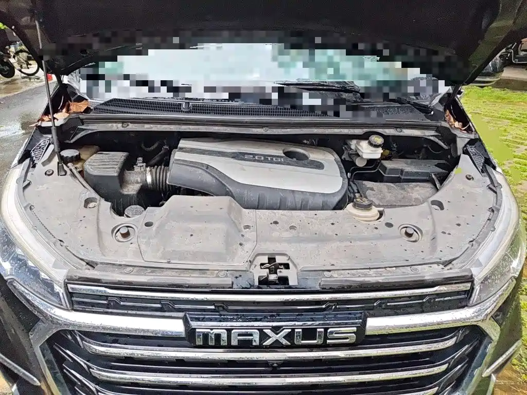MAXUS G20 — миниатюра 11