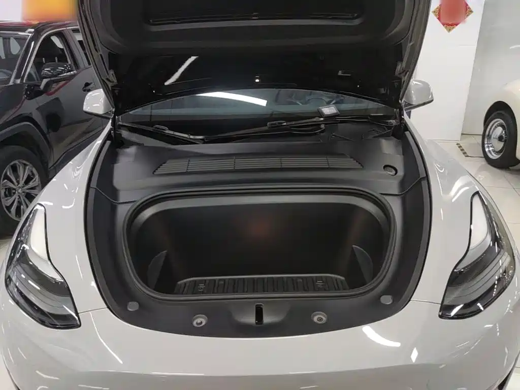 Tesla Model Y — миниатюра 20