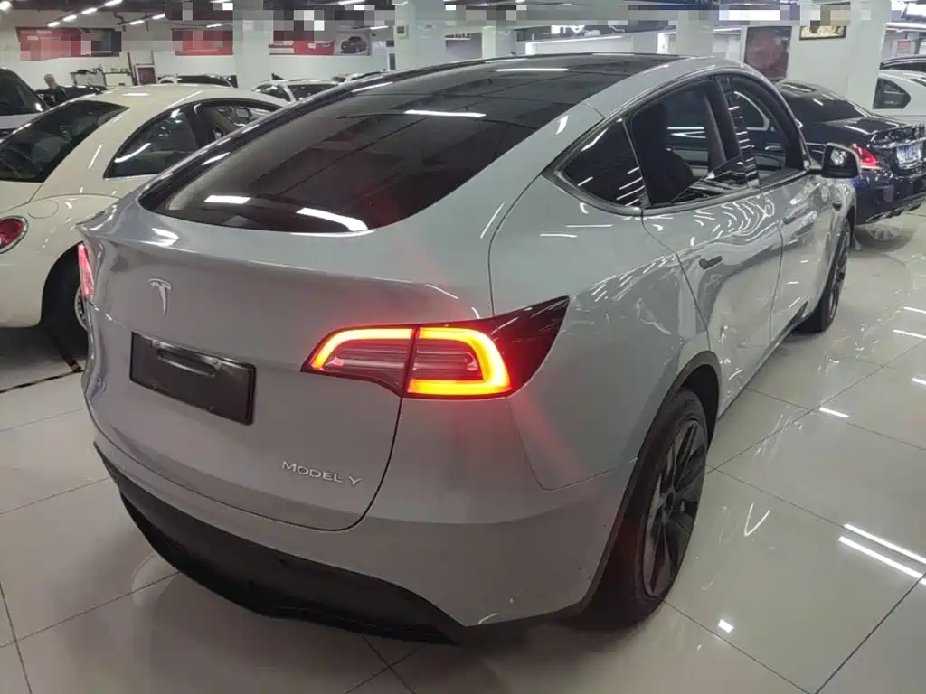 Tesla Model Y — миниатюра 7
