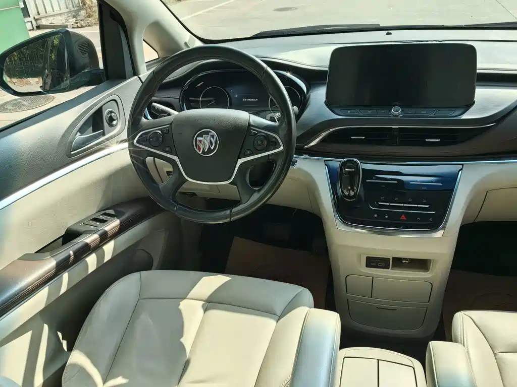 Buick GL8 — миниатюра 20