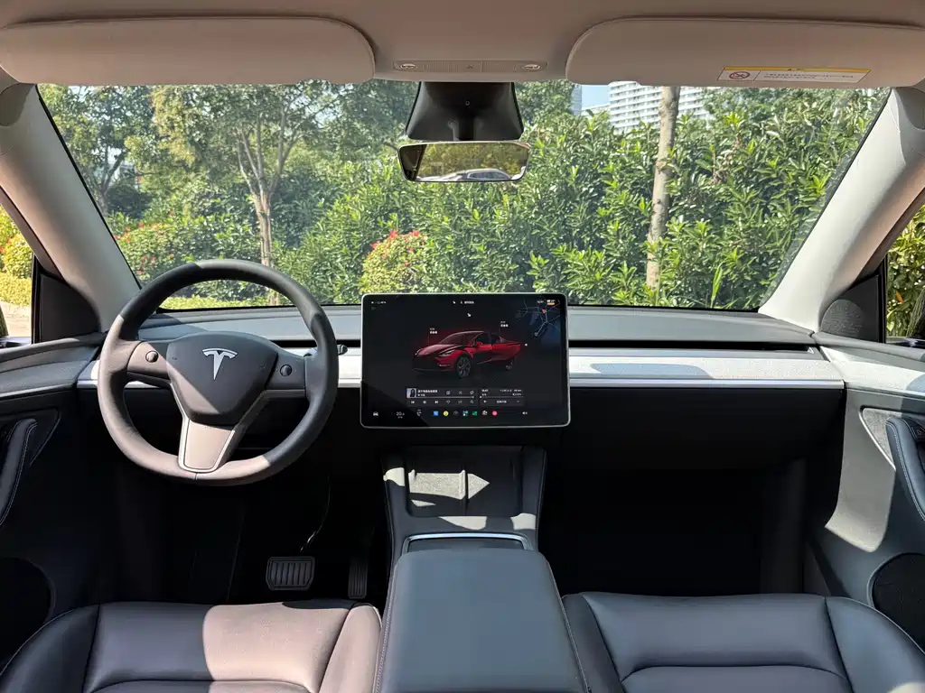Tesla Model Y — миниатюра 8