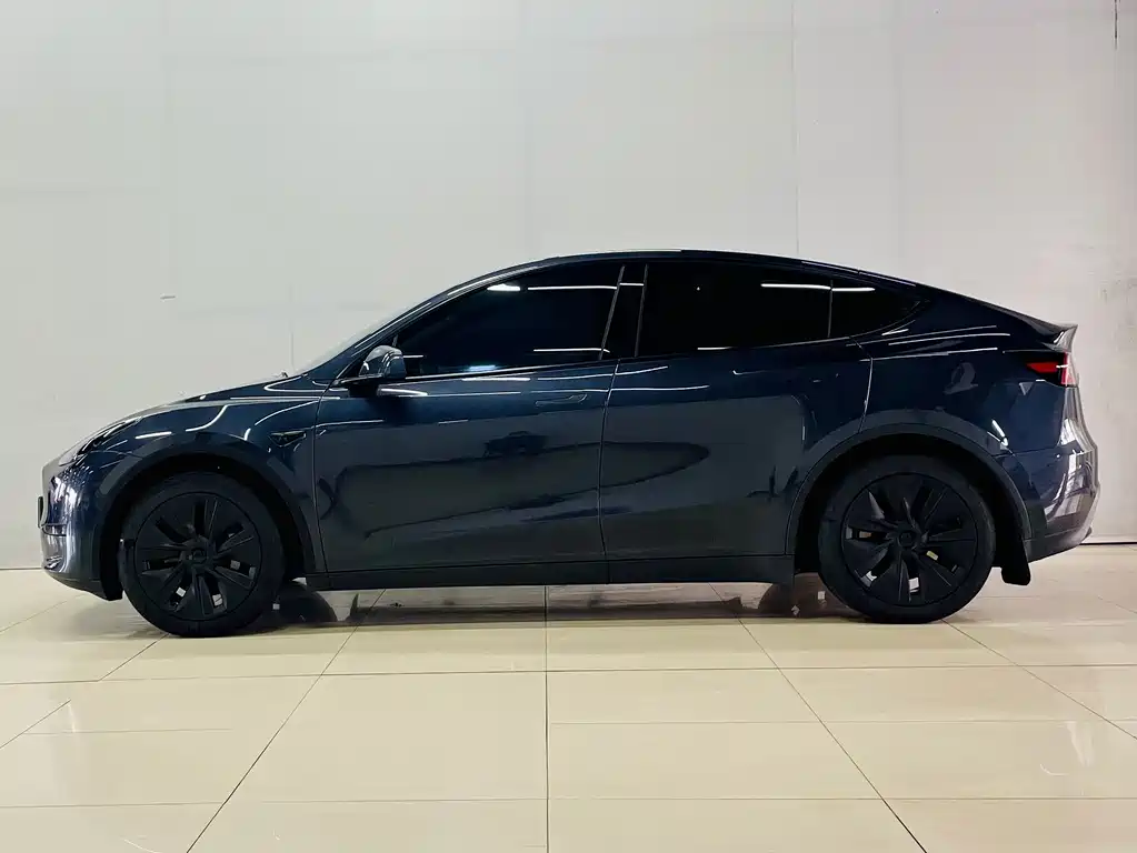 Tesla Model Y — миниатюра 5