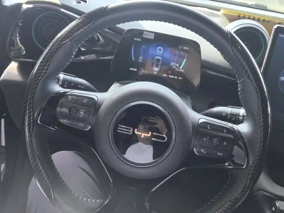 BYD Dolphin — миниатюра 15