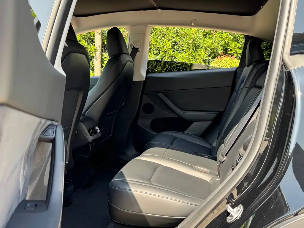 Tesla Model Y — миниатюра 7