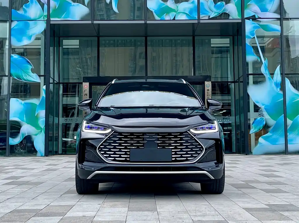 BYD Tang New Energy — миниатюра 2