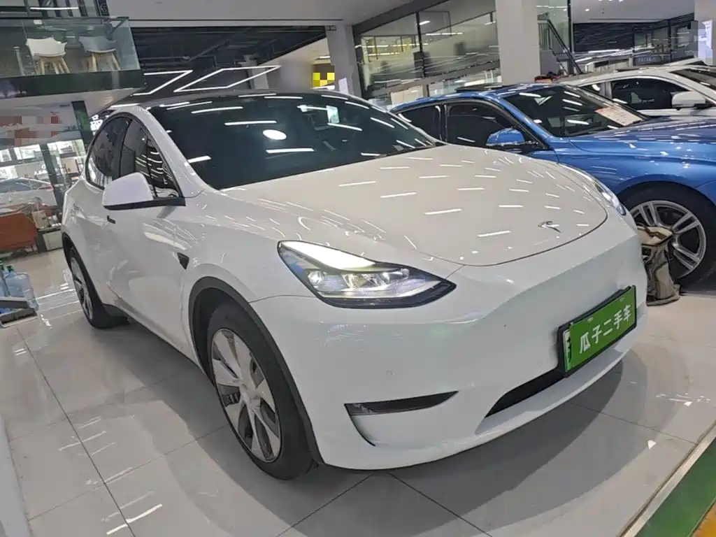 Tesla Model Y — миниатюра 4