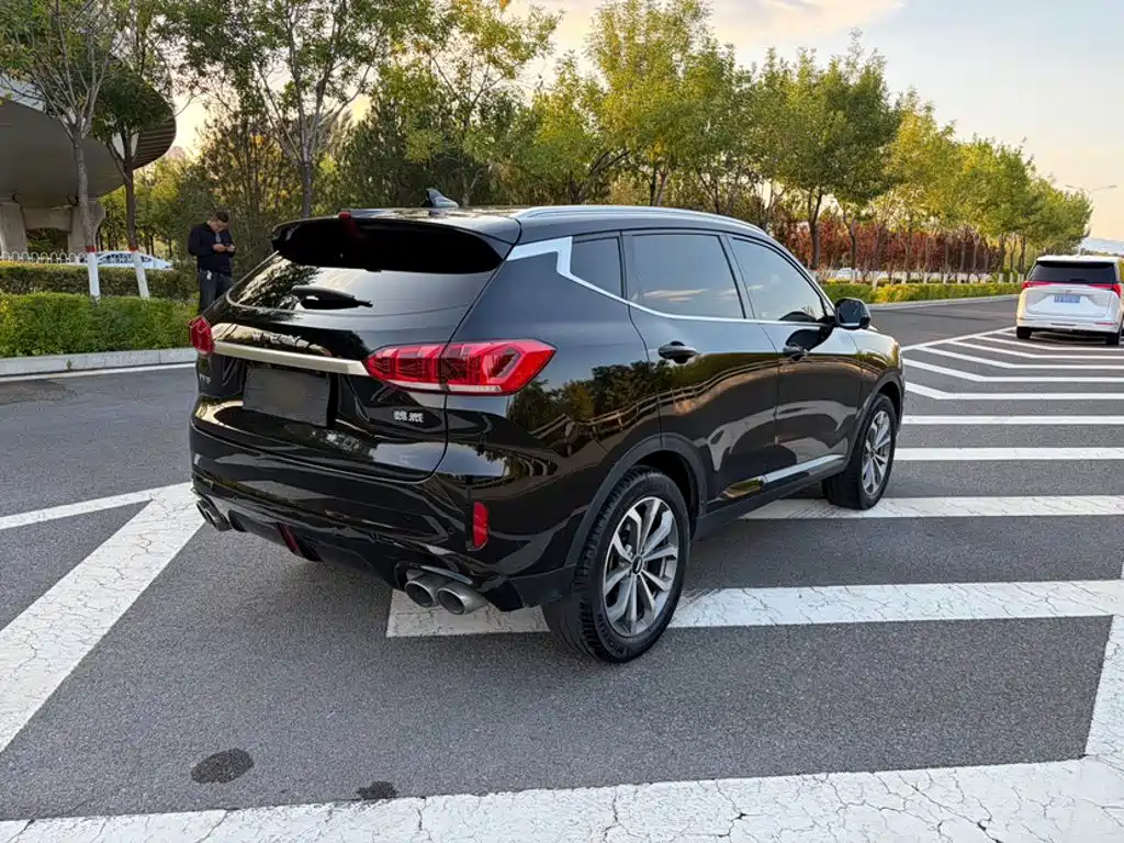 Wey Wey VV6 — миниатюра 8