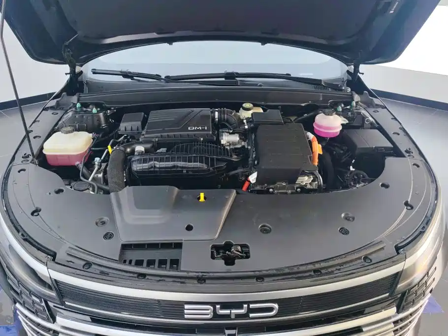 BYD Destroyer 05 2024 DM-i 55KM Luxury