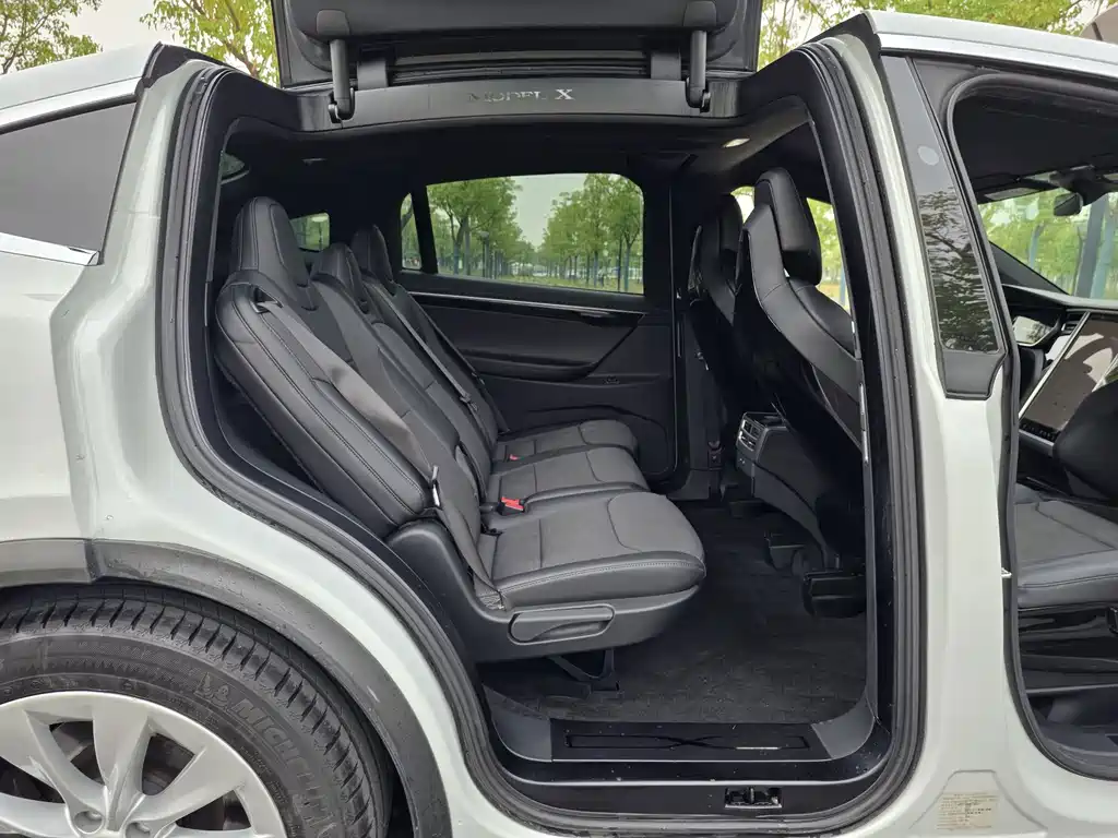 Tesla Model X — миниатюра 11